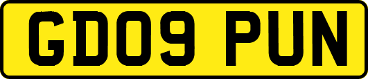 GD09PUN