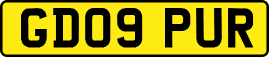 GD09PUR