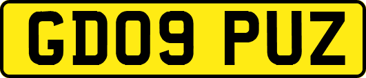 GD09PUZ