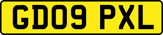 GD09PXL