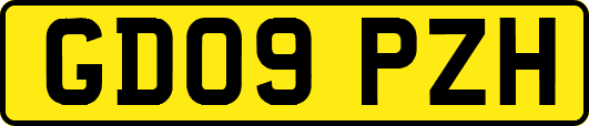 GD09PZH