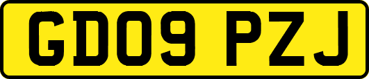 GD09PZJ