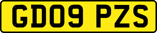 GD09PZS