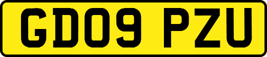GD09PZU