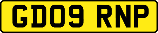 GD09RNP
