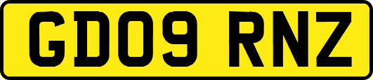 GD09RNZ