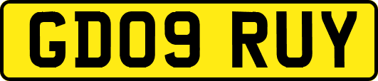 GD09RUY