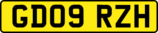 GD09RZH
