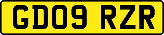 GD09RZR