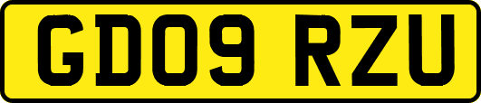 GD09RZU