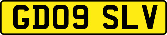 GD09SLV