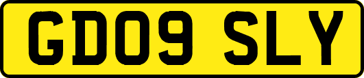 GD09SLY