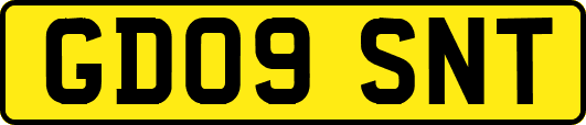 GD09SNT