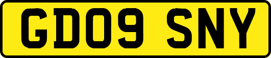 GD09SNY