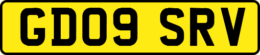 GD09SRV