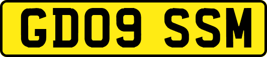GD09SSM