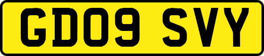 GD09SVY