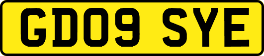 GD09SYE