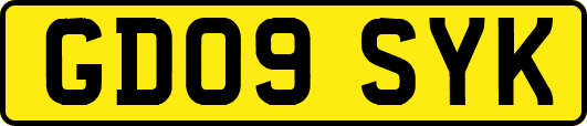 GD09SYK