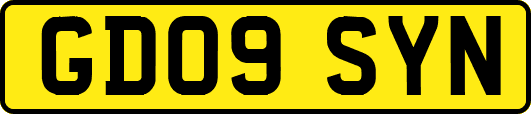 GD09SYN