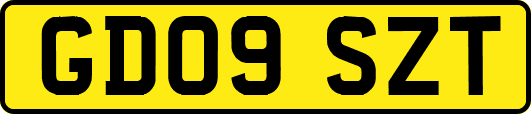 GD09SZT