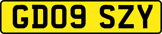 GD09SZY