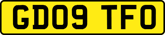GD09TFO
