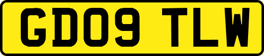 GD09TLW