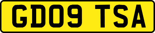 GD09TSA