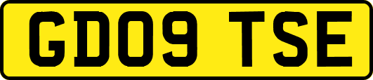 GD09TSE
