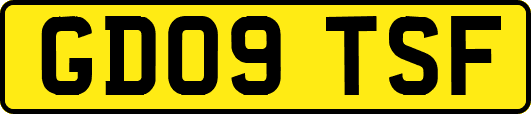 GD09TSF
