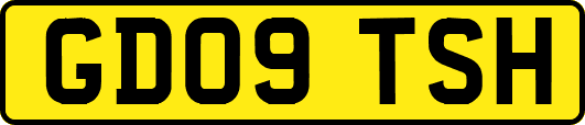 GD09TSH