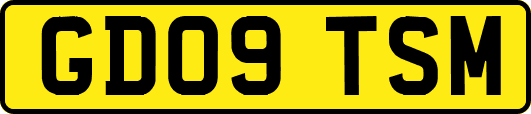 GD09TSM