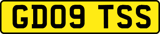 GD09TSS