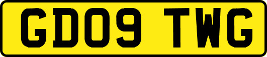 GD09TWG