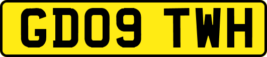 GD09TWH