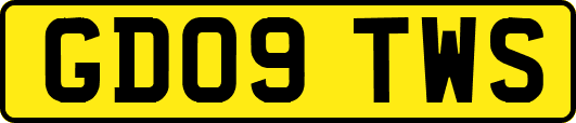 GD09TWS