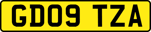 GD09TZA