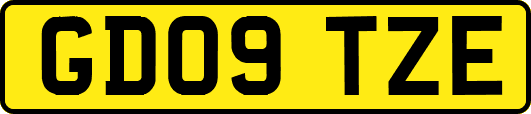 GD09TZE