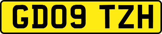 GD09TZH