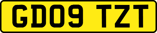 GD09TZT