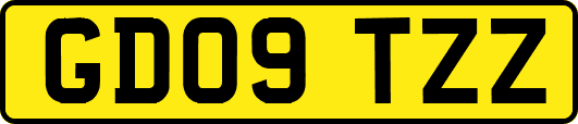GD09TZZ