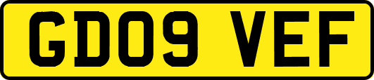 GD09VEF