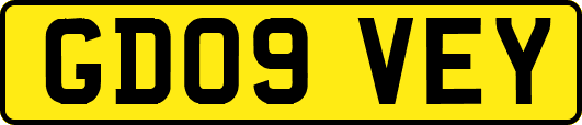 GD09VEY