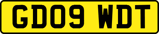 GD09WDT