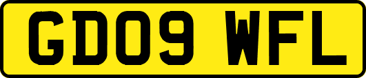 GD09WFL