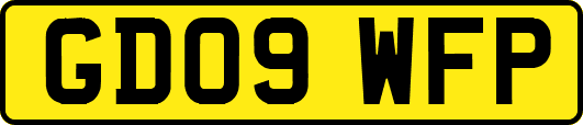 GD09WFP