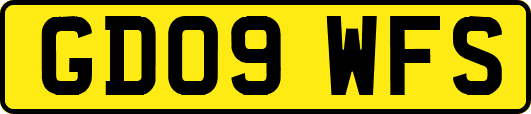 GD09WFS