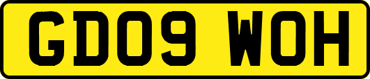 GD09WOH