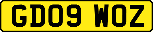 GD09WOZ